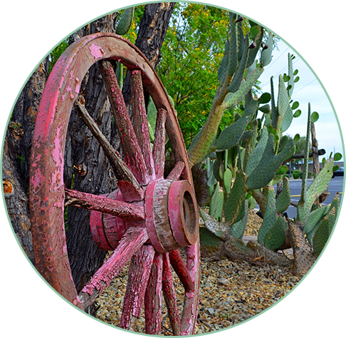 Duck Creek Resort & RV Park Photo Gallery