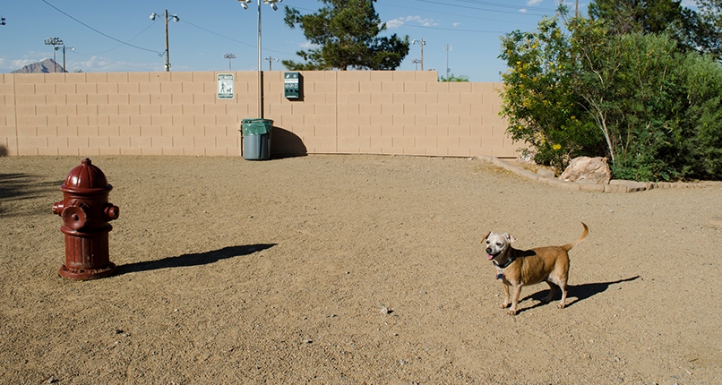 Pet Parks at Duck Creek RV Park & Resort