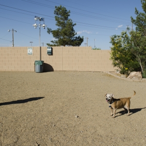 Pet Park @ Duck Creek RV Park & Resort