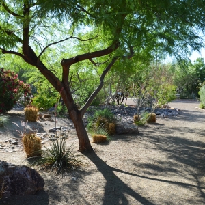 Grounds @ Duck Creek RV Park & Resort